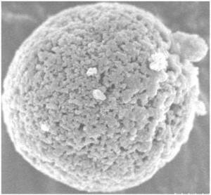 Microcapsule MEB